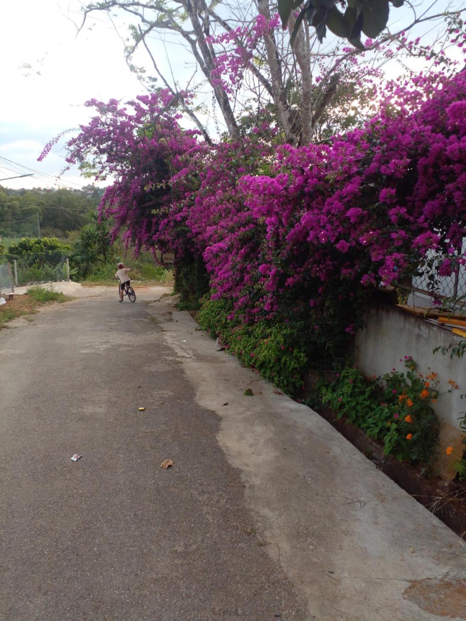 Ly'S Homestay 嘉义 外观 照片